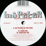 Blu Peter - The Pictures In Your Mind (Vinyl)