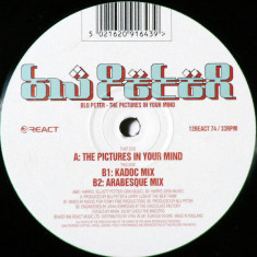 Blu Peter - The Pictures In Your Mind (Vinyl)