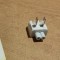 Adaptor Priza Apple #A5734