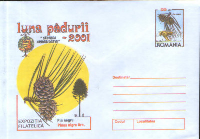 Intreg postal plic nec.2001 - Luna Padurii - sadirea arborilor - Pin negru foto