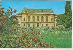 bnk cp Bucuresti - Facultatea de medicina - necirculata