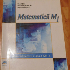 Matematica M1. Manual pentru clasa a XII-a de Marcel Tena, Marian Andronache