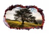 Autocolant decorativ, Gaura in perete, Multicolor, 85 cm, 632STC-1, animale si pasari, Oem