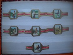 HOPCT LOT NR 5 - RASE DE PORUMBEI -7 BUC-ETICHETE VECHI DE TRABUCURI -COLECTIE DE LUX