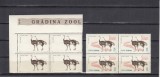 ROMANIA 1964 LP 592 a GRADINA ZOOLOGICA EROARE LIPSA CULOARE FUNDAL LIPSA SCRIS BLOC DE 4 TIMBRE MNH