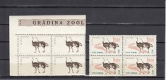 ROMANIA 1964 LP 592 a GRADINA ZOOLOGICA EROARE LIPSA CULOARE FUNDAL LIPSA SCRIS BLOC DE 4 TIMBRE MNH