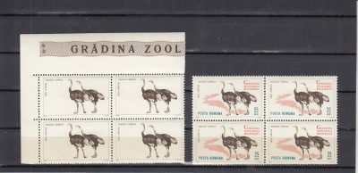 1964 LP 592 a GRADINA ZOOLOGICA EROARE LIPSA FUNDAL LIPSA SCRIS BLOC DE 4 MNH foto