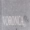Voronca - Versuri