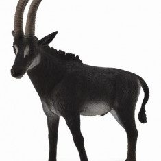 Figurina Mascul Antilopa Sable Gigant L Collecta