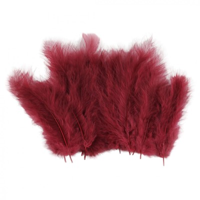 Set 20 pene decorative strut, lungime 9-16 cm, Visiniu foto