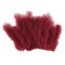 Set 20 pene decorative strut, lungime 9-16 cm, Visiniu