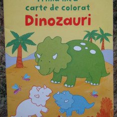 Prima mea carte de colorat. Dinozauri