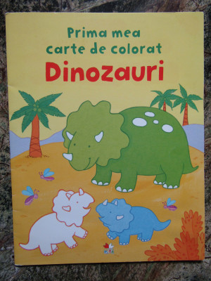 Prima mea carte de colorat. Dinozauri foto