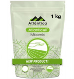 Biostimulator Atlanticell Micomix 1 kg, Atlantica Agricola