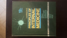 Harrison&amp;#039;s Principles of Internal Medicine, 12th edition, 1991 foto