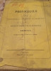 PROTOCOL PENTRU SEDINTELE SINODULUI EPARHIAL ARAD 1878