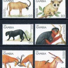 GAMBIA-Fauna din Africa-Leopard-Antilopa-Elan--serie completa de 6 timbre MNH