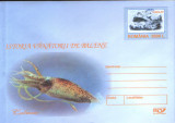 Intreg pos plic nec 2003 - Istoria vanatorii de balene - Calamarul