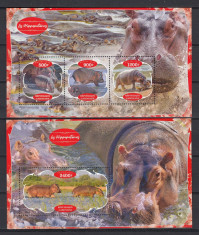 Gabon 2020 - Fauna Africana - HIPOPOTAMI - BL + KB - MNH foto