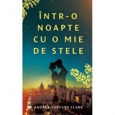 Intr-o noapte cu o mie de stele - Andrea Yaryura Clark