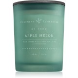 DW Home Charming Farmhouse Apple Melon lum&acirc;nare parfumată 414 g