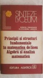 Rodica Trandafir - Principii si structuri fundamentale in matematica de liceu, 1982, Albatros