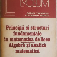 Rodica Trandafir - Principii si structuri fundamentale in matematica de liceu