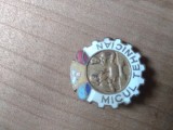 Insigne Micul Tehnician