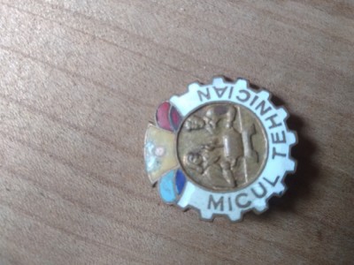 Insigne Micul Tehnician foto