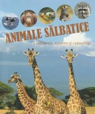 Animale salbatice - Rodica Lambrache - Editura Aquila