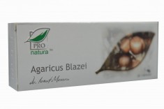 AGARICUS BLAZEI 30CPS foto