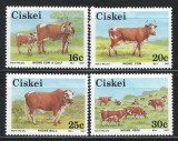 Ciskei, Africa de Sud Mi 115/118 MNH - Cresterea vitelor Nkone