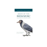 Birds of the Mesozoic