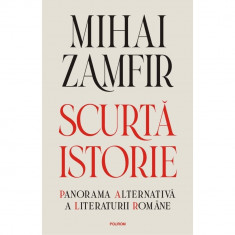 Scurta istorie Panorama alternativa a literaturii romane, Mihai Zamfir, Polirom foto