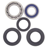 Kit rulmenti roata spate (cu garnituri) compatibil: YAMAHA YFM 350 1995-1999