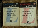 PROBLEME DE ALGEBRA PENTRU LICEU - Petrica, Lazar (2 volume)