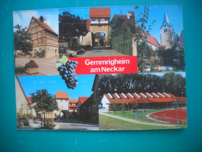 HOPCT 54394 GEMMRIGHEIM AM NECKAR /VITICULTURA GERMANIA -CIRCULATA foto