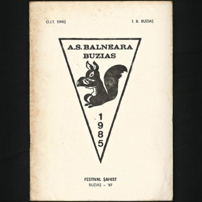 FESTIVAL ȘAHIST - ȘAH A. S. BALNEARA BUZIAȘ 1987 FANION VEVERIȚĂ - O.J.T. TIMIȘ foto