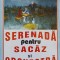 SERENADA PENTRU SACAZ SI ORCHESTRA-PETRE BARBULESCU CONTI-218352