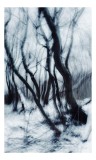 Tablou Canvas Dansul etereal al pădurii de iarnă, 26 x 39 cm, CMCLASS