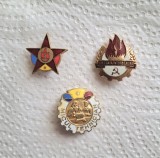 Insigne de pionieri Steluta Gradul I, Sint Gata Intotdeauna si Micul Tehnician