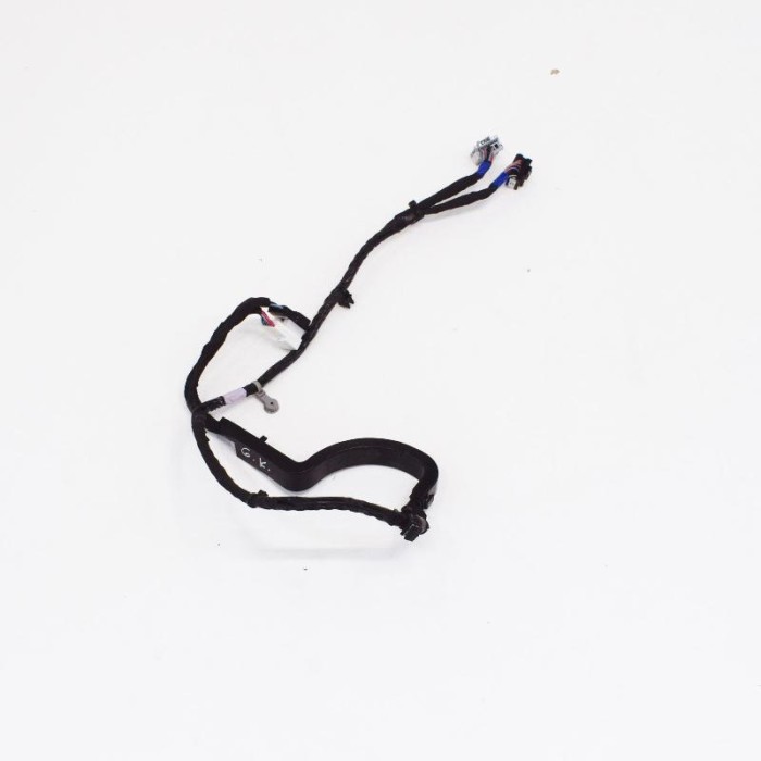 Cablaj ușă st&acirc;nga spate TESLA MODEL X 2016 OEM: 1064337-00-B 10018771
