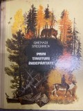 Prin tinuturi indepartate Ghenadi Sneghiriov 1981 cartonata R6