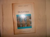 Stefan S. Gorovei - Musatinii (1976)