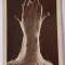 Carte Postala , Musee Rodin