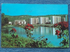238 Cluj-Napoca - Vedere Cartierul Grigorescu / carte postala
