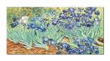 Cumpara ieftin Tablou celebru pictat manual, Irisi la Saint-Remy, 120x60cm ulei pe panza, reproducere Vincent van Gogh