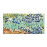 Tablou celebru pictat manual, Irisi la Saint-Remy, 120x60cm ulei pe panza, reproducere Vincent van Gogh