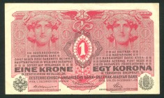 q482 UNGARIA AUSTRIA 1 KORONA COROANE 1916 fara supratipar VF text in limba romana foto