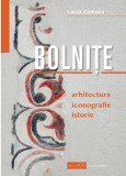 Bolnite. Arhitectura, iconografie, istorie - Editura ACS